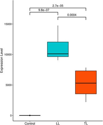 Associations Between the Purinergic Receptor P2X7 and Leprosy Disease